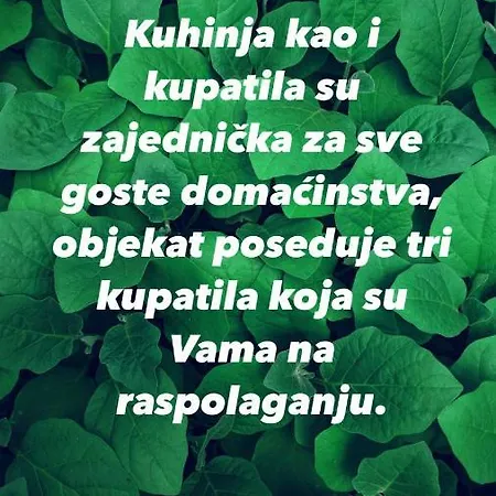 Konaci Nikola Banja Vrujci Gæstehus Gornja Toplica