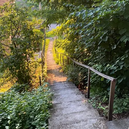 Konaci Nikola Banja Vrujci Konukevi *